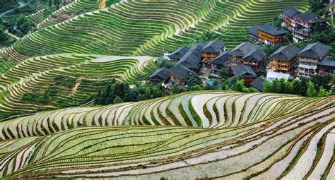 Ancient Beauty and Tranquil Serenity: Unveiling the Splendor of Longji Rice Terraces!