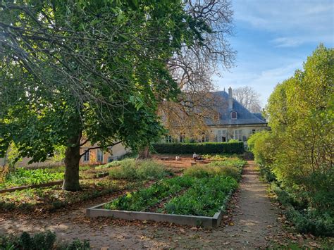 Explore the Unexpected Beauty of the Jardins de la Citadelle in Zahna! A Tranquil Oasis with Stunning Views