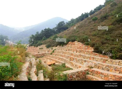 Qinglong Mountain Scenic Area: A Majestic Dragon Coiled in Nature's Embrace!